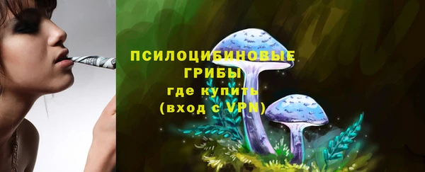 соль ск Балахна