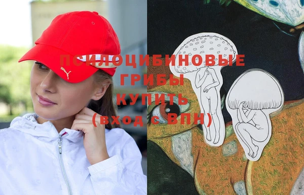 таблы Белокуриха
