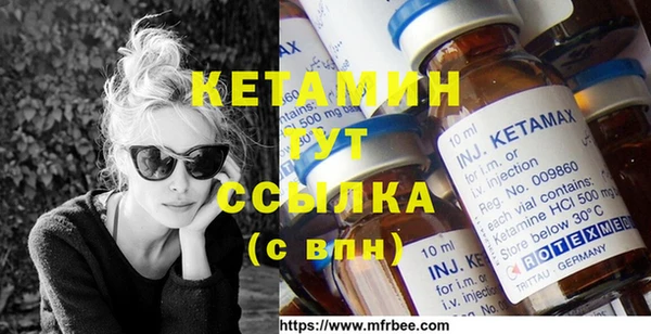 гидра Покачи