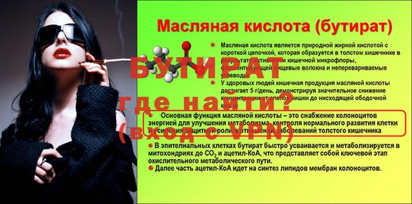 гидра Покачи