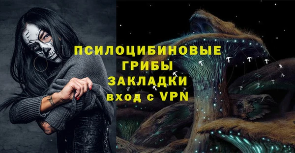 шишки Балабаново