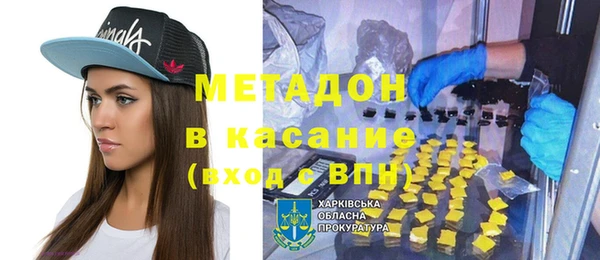 прущие грибы Беломорск