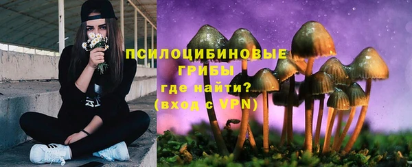 гидра Покачи