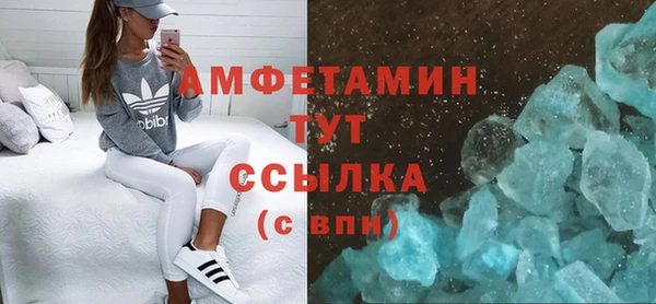 прущие грибы Беломорск