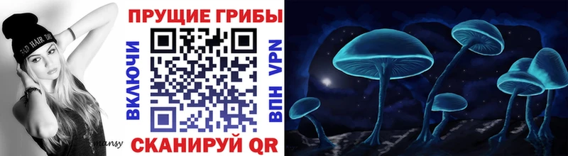 где купить наркоту  Фурманов  площадка клад  Псилоцибиновые грибы Psilocybe 